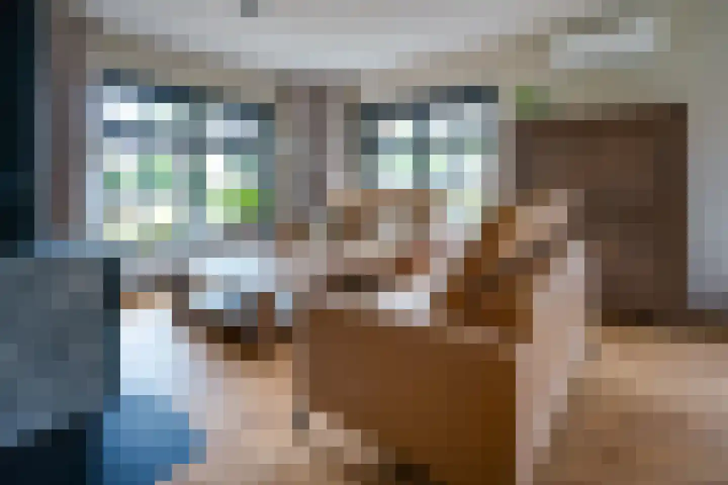 Mûzefalk 8 Harkema thumbnail 8