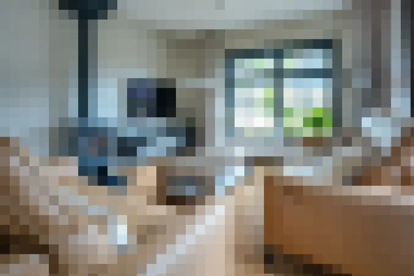 Mûzefalk 8 Harkema thumbnail 9