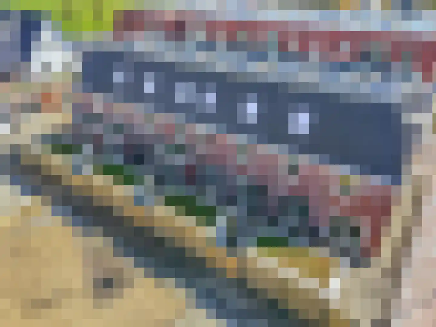 Muzen 11 Nijkerk thumbnail 33