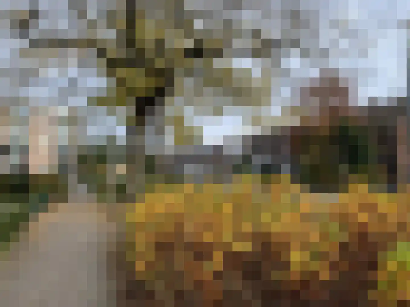 Muzenlaan 101 Eindhoven thumbnail 16