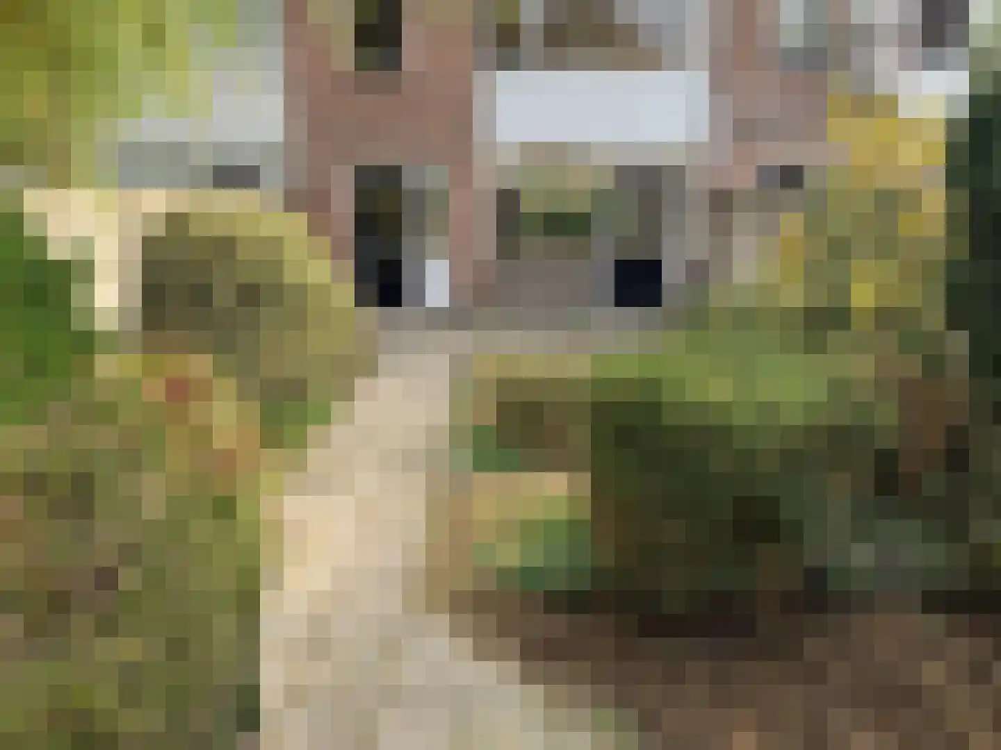 Muzenlaan 101 Eindhoven thumbnail 17