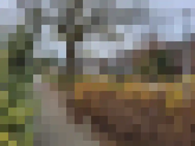 Muzenlaan 101 Eindhoven thumbnail 18