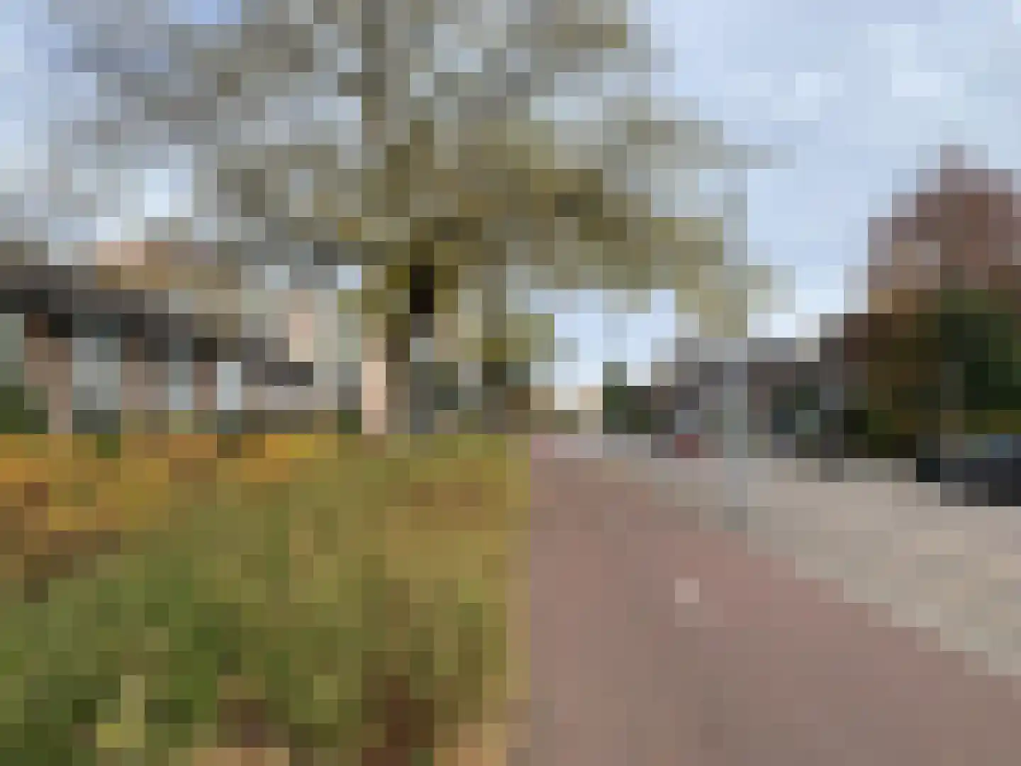 Muzenlaan 101 Eindhoven thumbnail 19