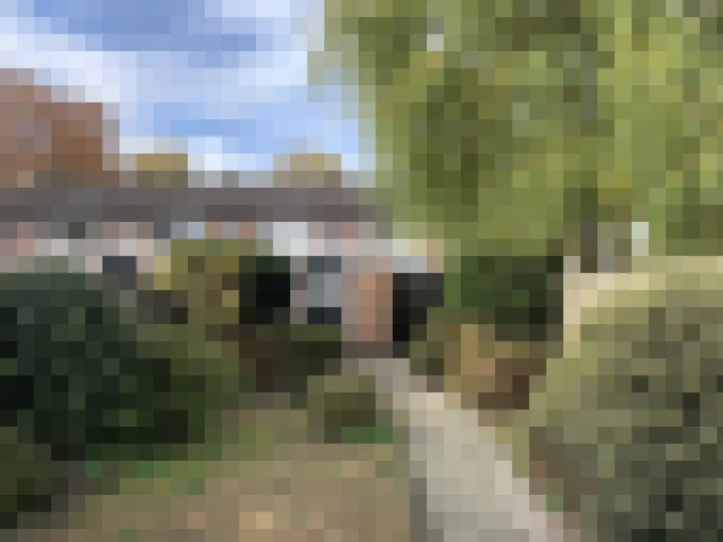 Muzenlaan 101 Eindhoven thumbnail 19