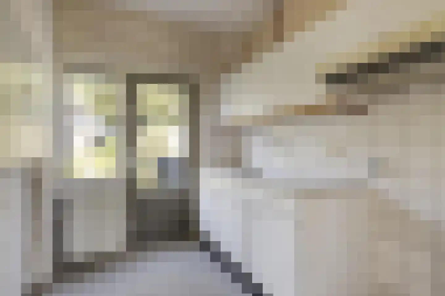 Muzenlaan 101 Eindhoven thumbnail 4