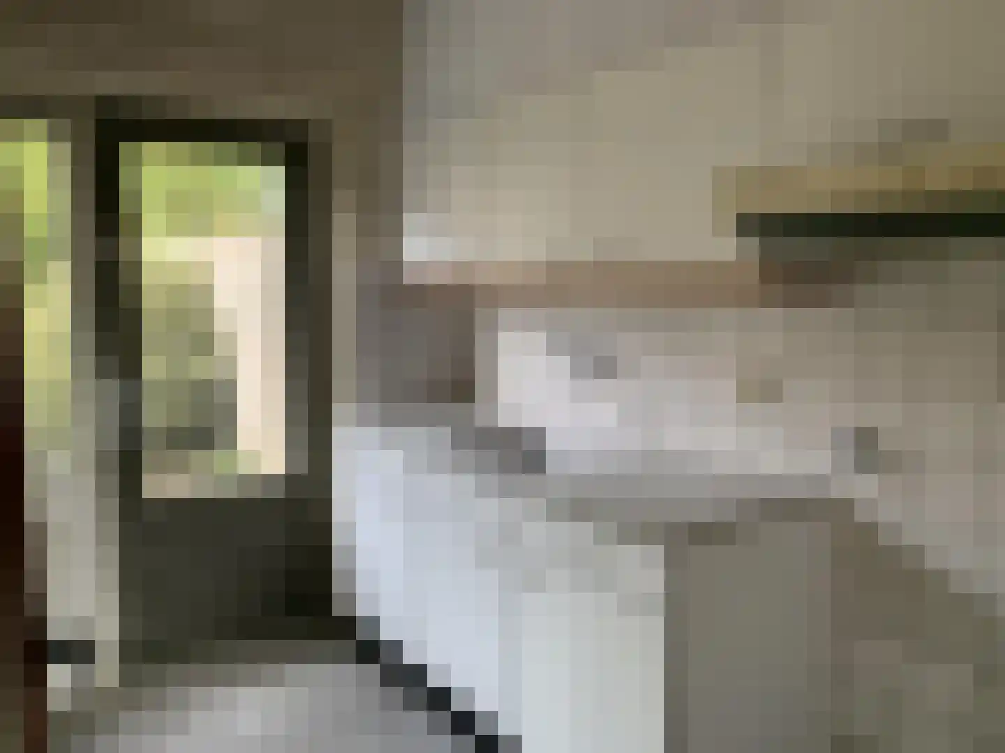 Muzenlaan 101 Eindhoven thumbnail 4