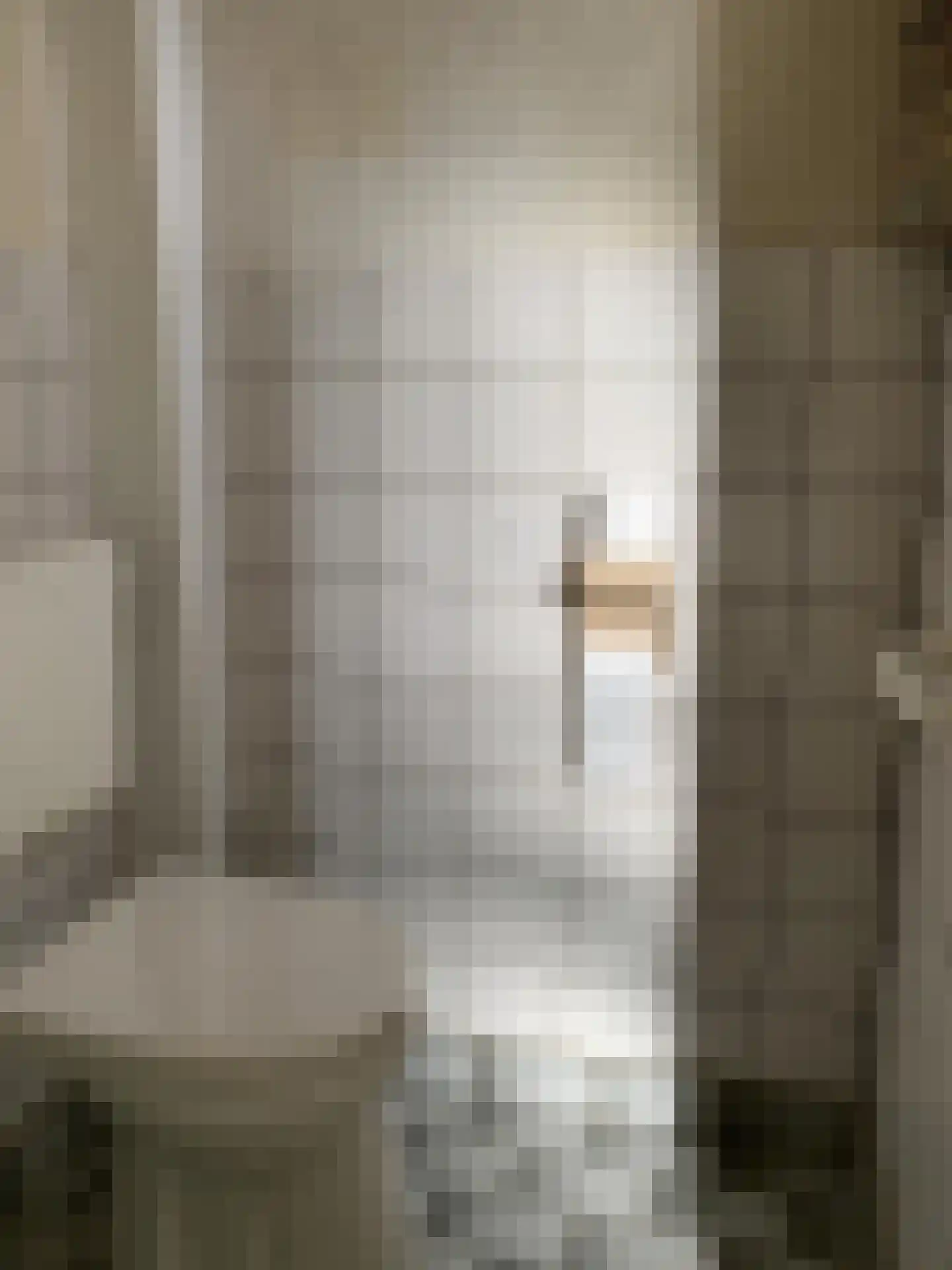 Muzenlaan 101 Eindhoven thumbnail 5
