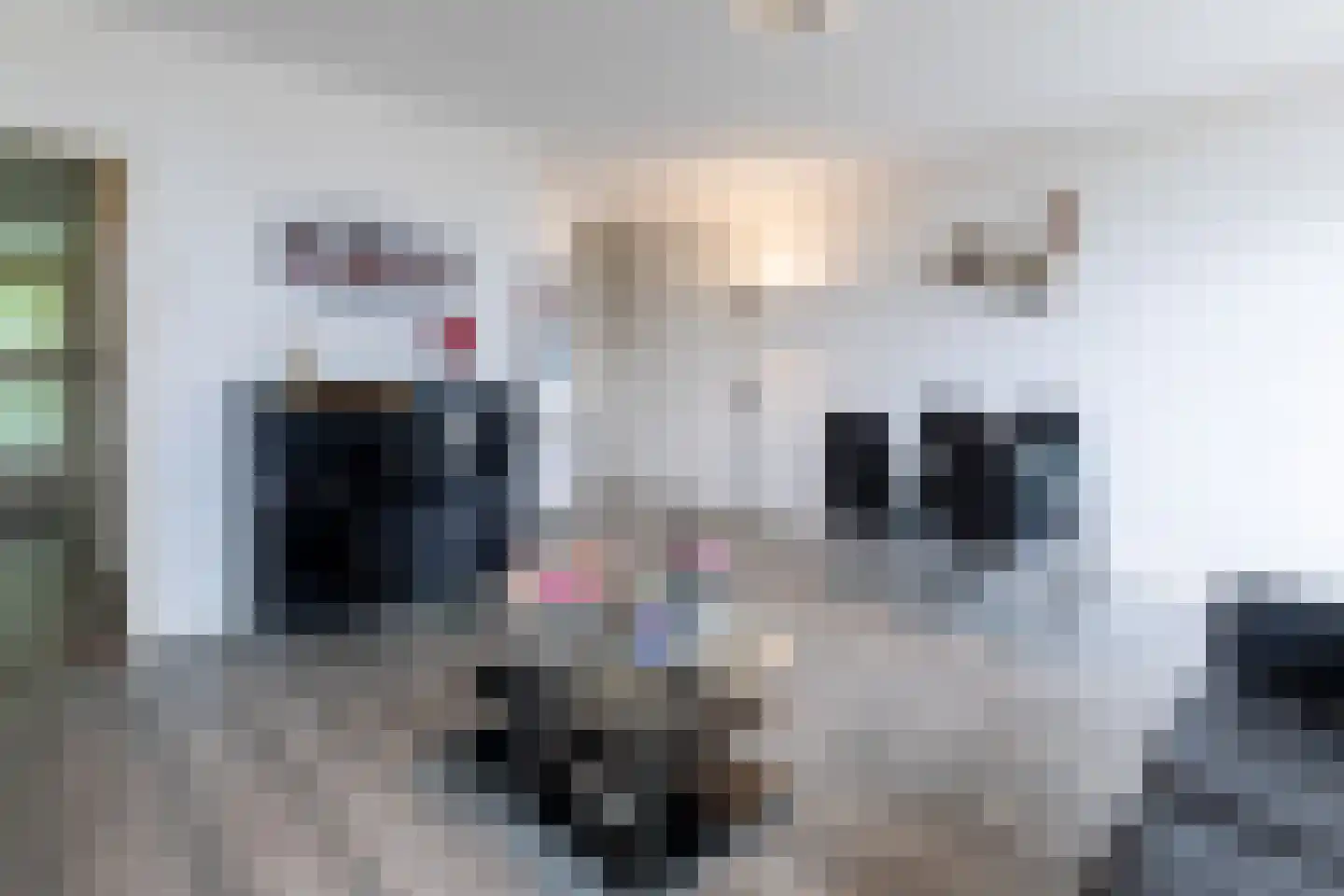 Muzenlaan 116 Heerlen thumbnail 5