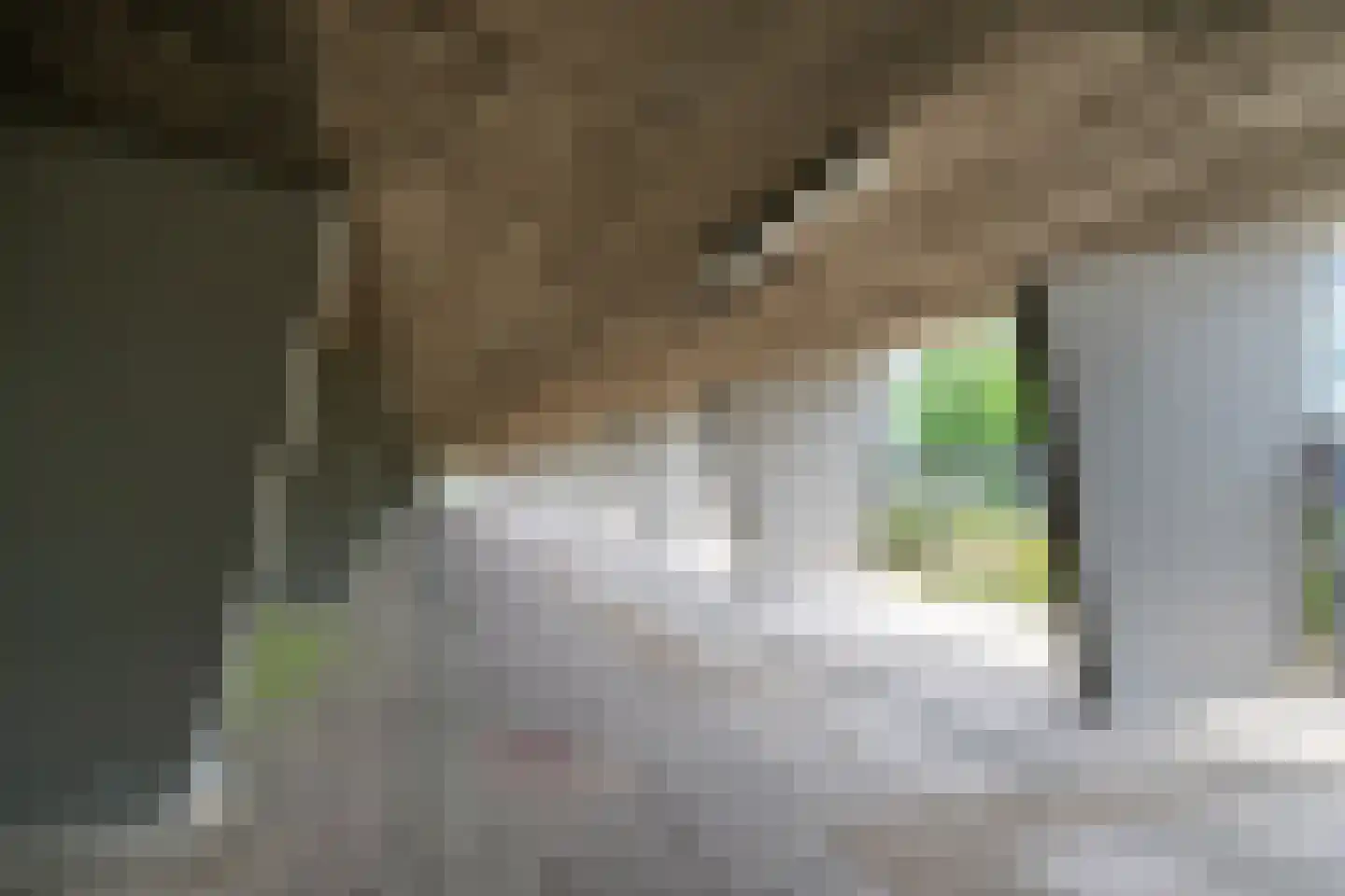 Muzenlaan 118 Heerlen thumbnail 28