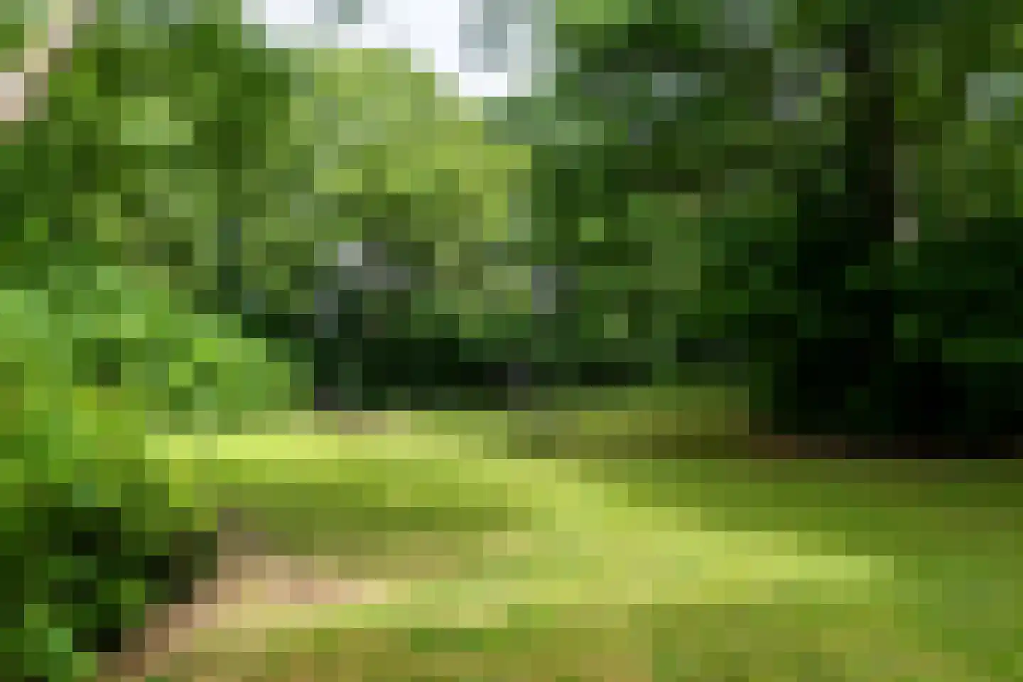 Muzenlaan 118 Heerlen thumbnail 29