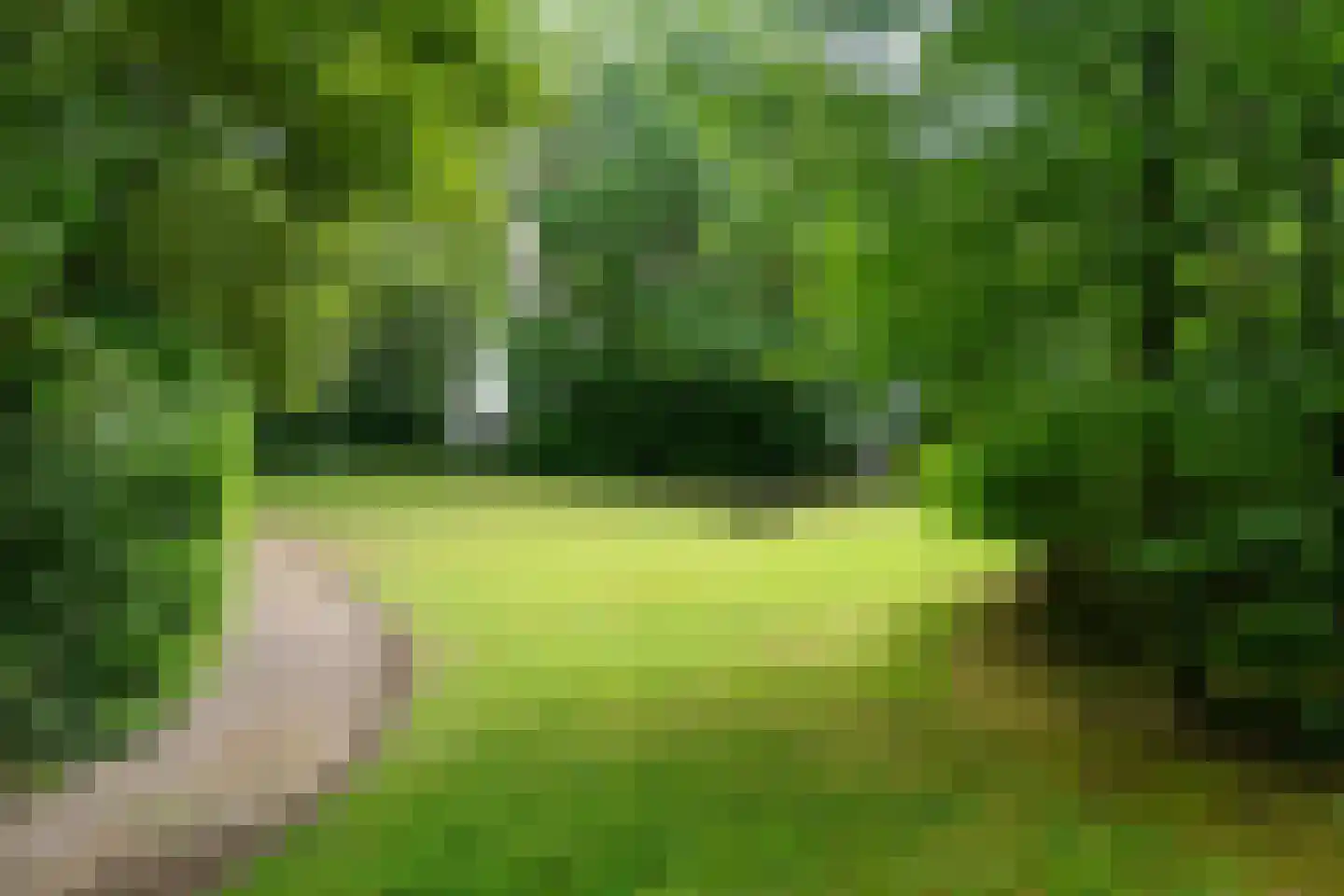 Muzenlaan 118 Heerlen thumbnail 33