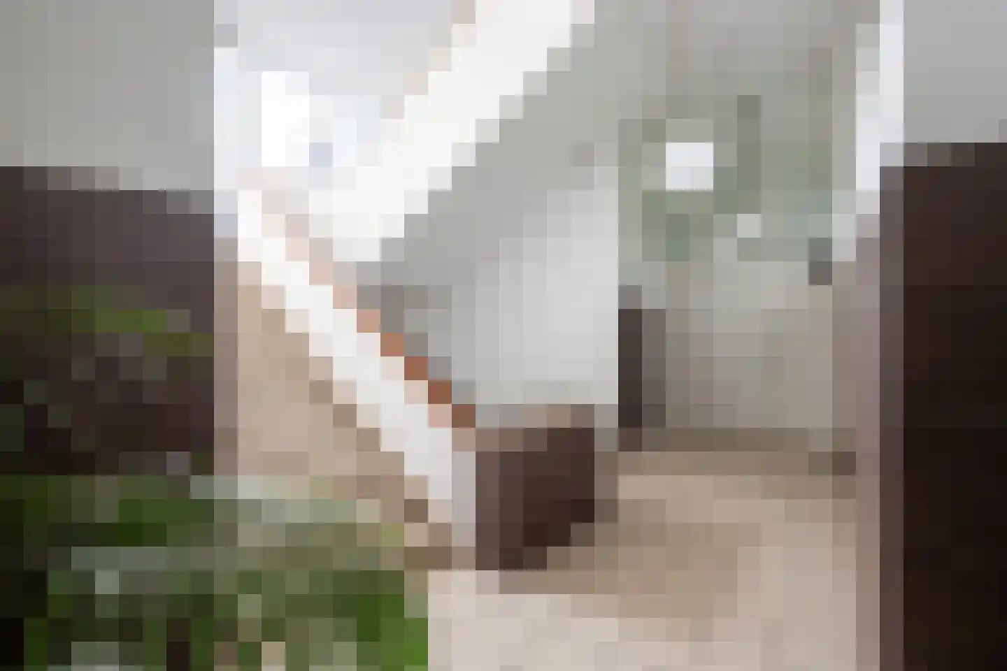 Muzenlaan 120 Heerlen thumbnail 19