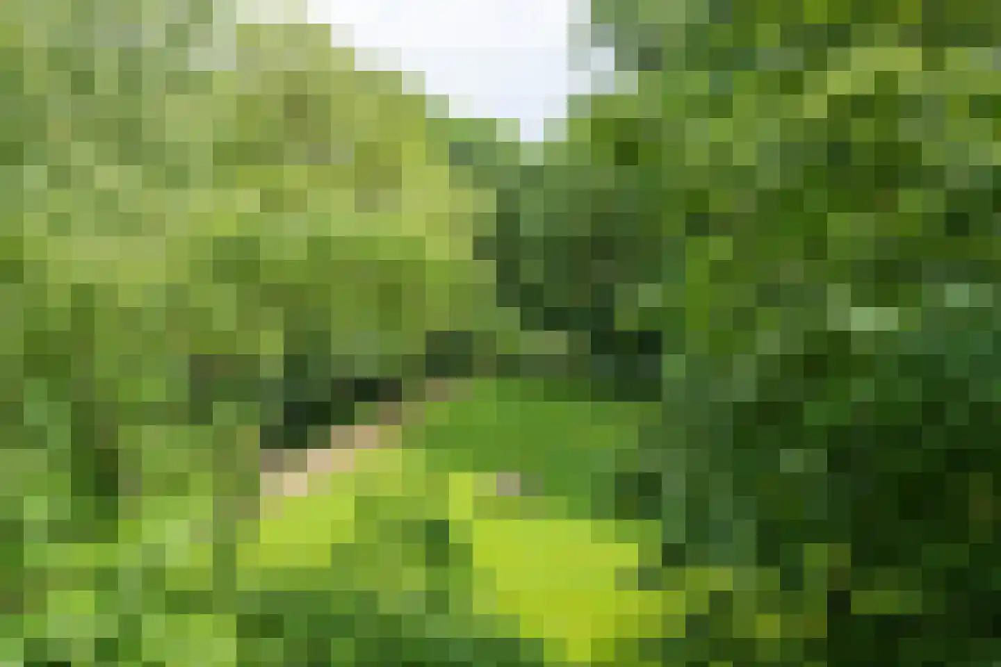 Muzenlaan 120 Heerlen thumbnail 21