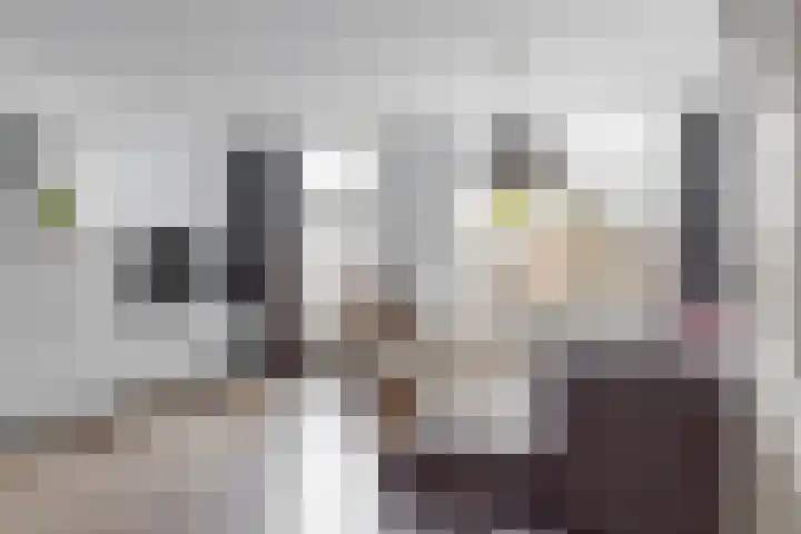 Muzenlaan 13 Leiderdorp thumbnail 10