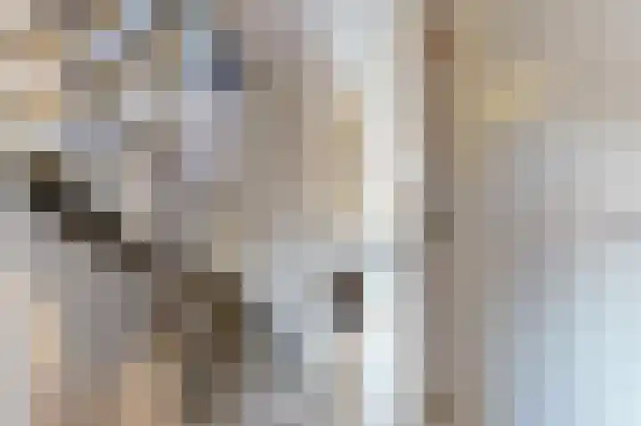 Muzenlaan 13 Leiderdorp thumbnail 17