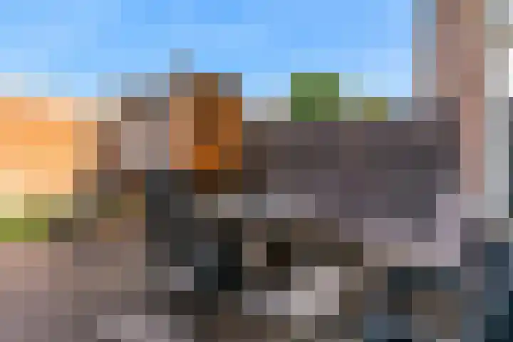 Muzenlaan 13 Leiderdorp thumbnail 37