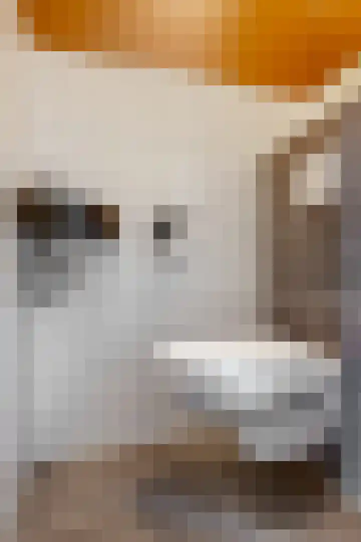 Muzenlaan 13 Leiderdorp thumbnail 7