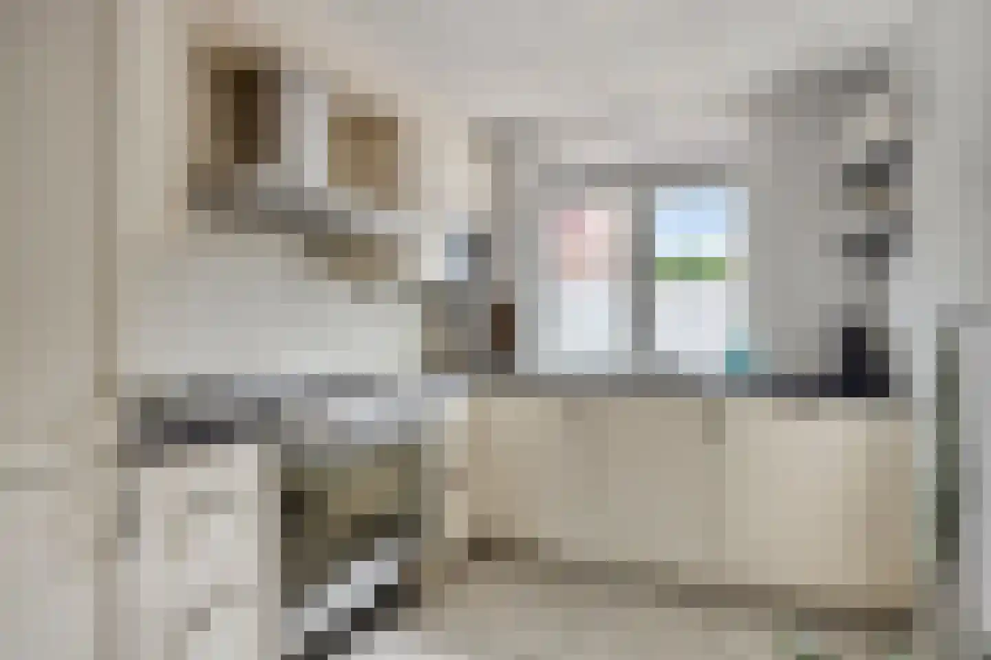 Muzenlaan 145 Leiderdorp thumbnail 10
