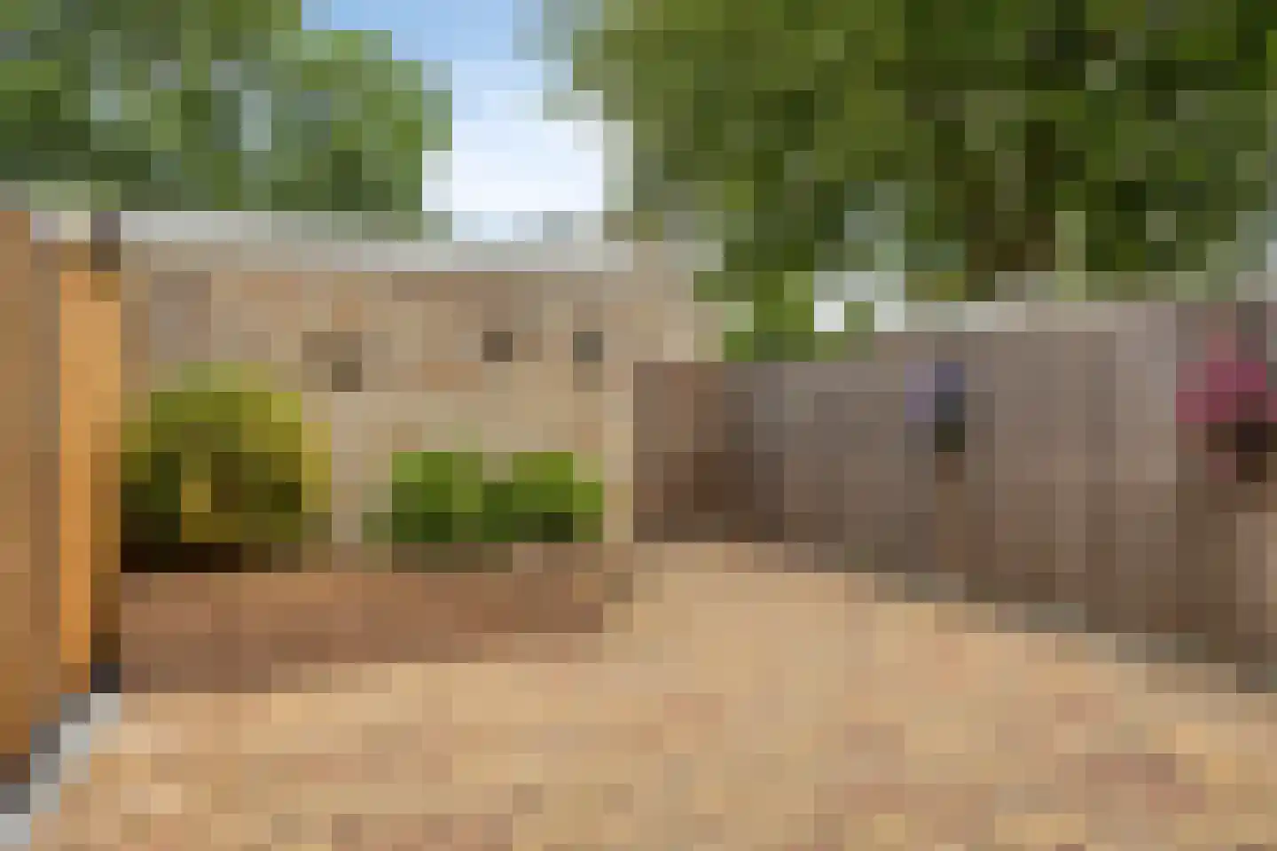 Muzenlaan 145 Leiderdorp thumbnail 13