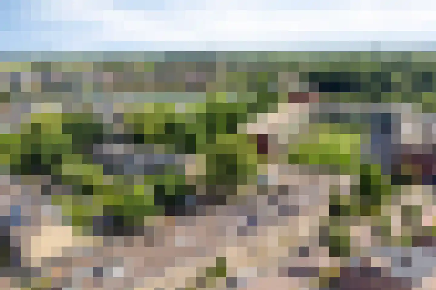Muzenlaan 145 Leiderdorp thumbnail 32