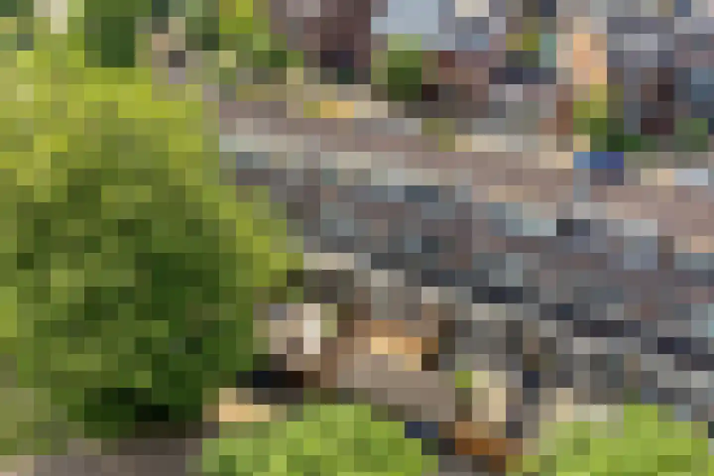 Muzenlaan 145 Leiderdorp thumbnail 33
