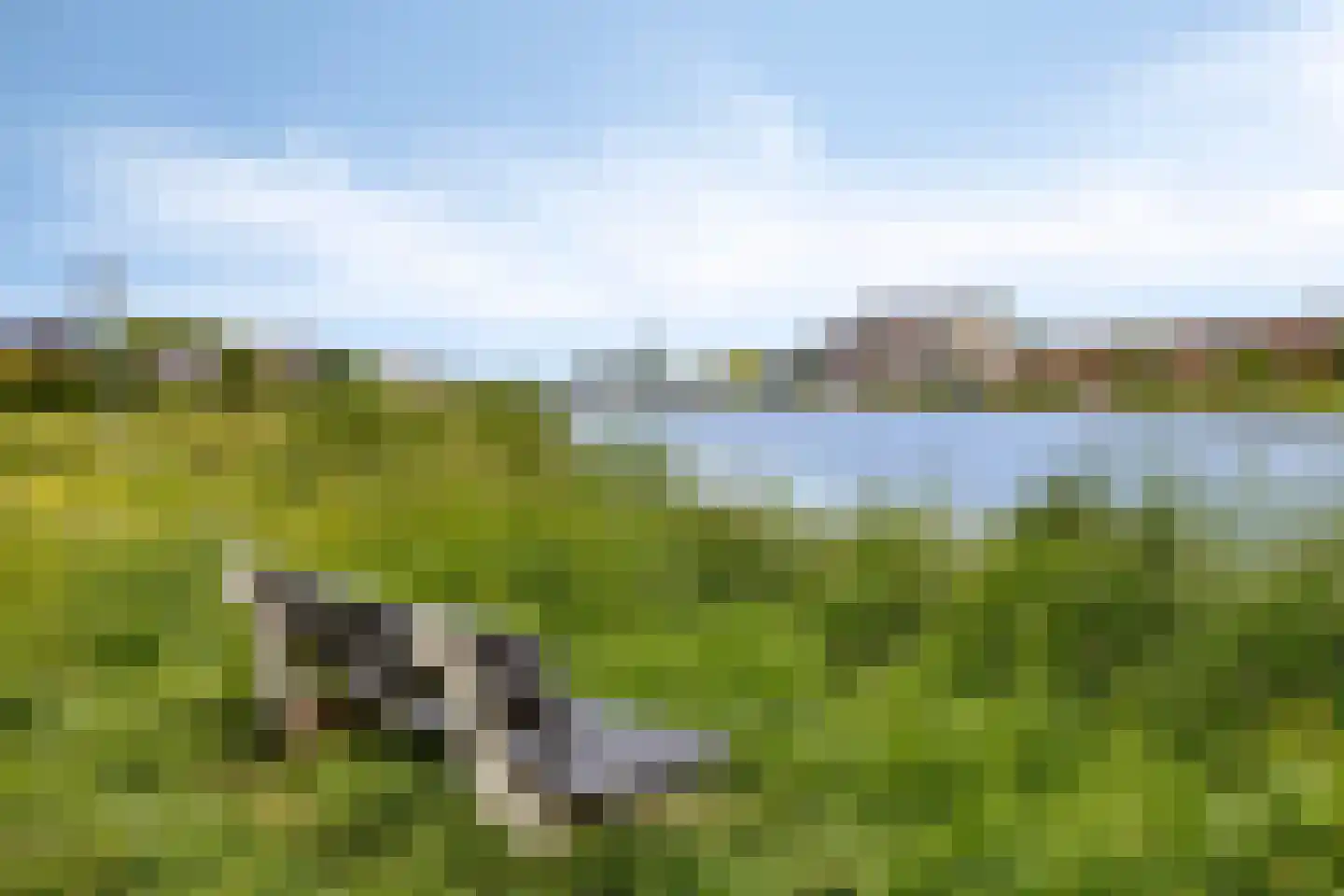 Muzenlaan 145 Leiderdorp thumbnail 36