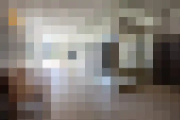 Muzenlaan 156 Heerlen thumbnail 23