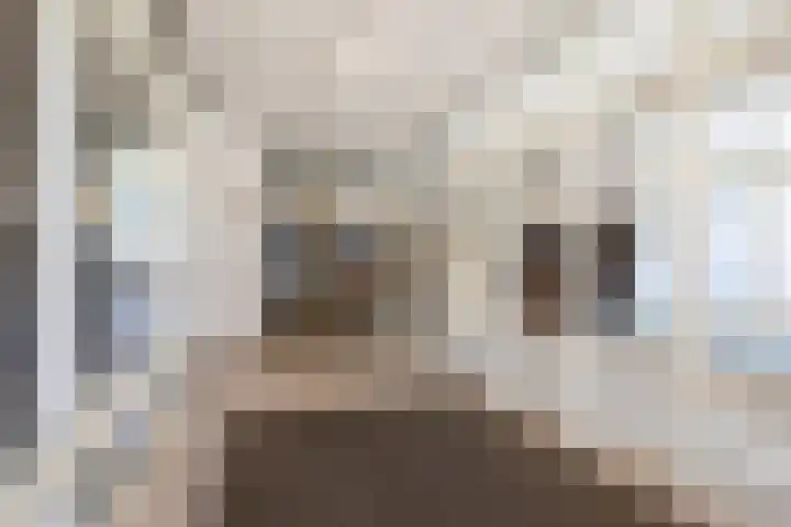 Muzenlaan 156 Heerlen thumbnail 24