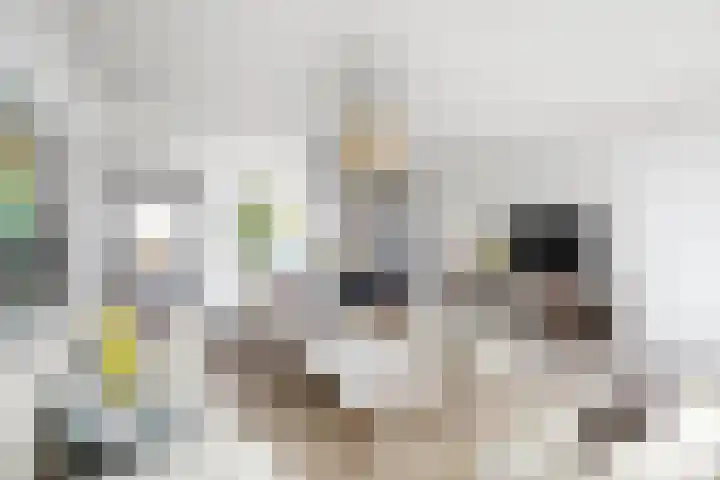 Muzenlaan 156 Heerlen thumbnail 7