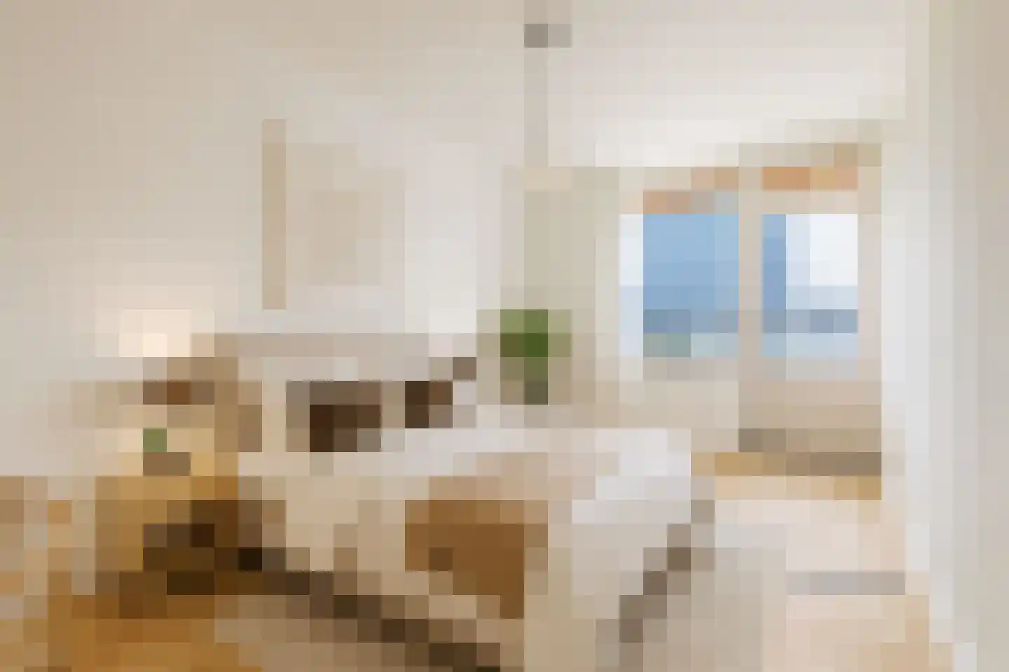 Muzenlaan 202 Heerlen thumbnail 15