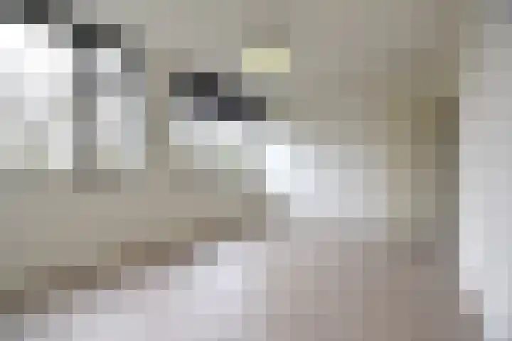 Muzenlaan 214 Heerlen thumbnail 12
