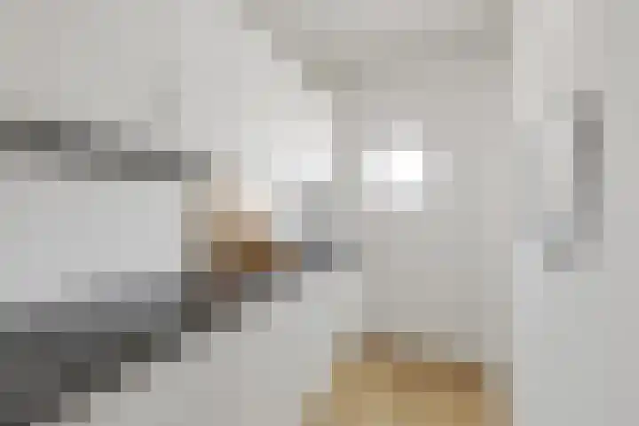 Muzenlaan 234 Heerlen thumbnail 11