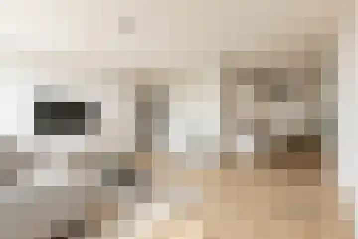 Muzenlaan 242 Heerlen thumbnail 7