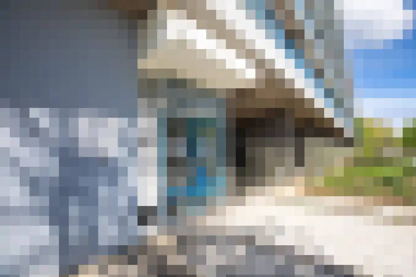 Muzenlaan 278 Heerlen thumbnail 23