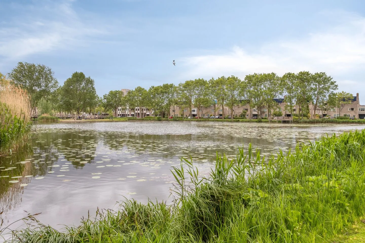 Muzenlaan 34 Leiderdorp thumbnail 46