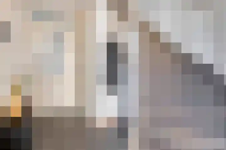 Muzenlaan 37 Beek en Donk thumbnail 11