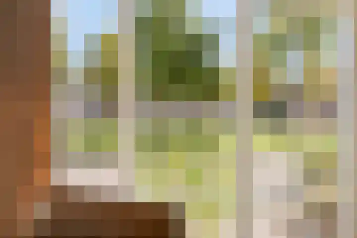 Muzenlaan 37 Beek en Donk thumbnail 14