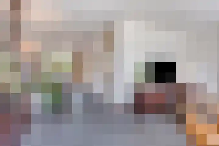 Muzenlaan 37 Beek en Donk thumbnail 15