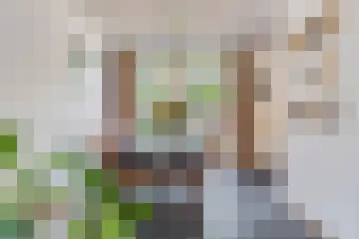 Muzenlaan 37 Beek en Donk thumbnail 16