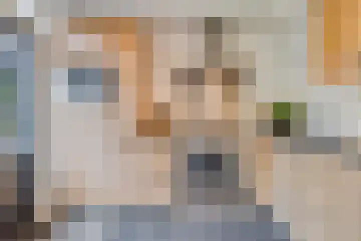 Muzenlaan 37 Beek en Donk thumbnail 19