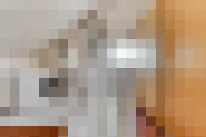 Muzenlaan 37 Beek en Donk thumbnail 29