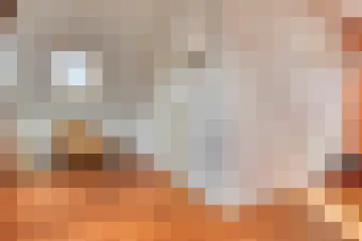Muzenlaan 37 Beek en Donk thumbnail 30