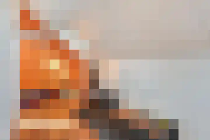Muzenlaan 37 Beek en Donk thumbnail 31