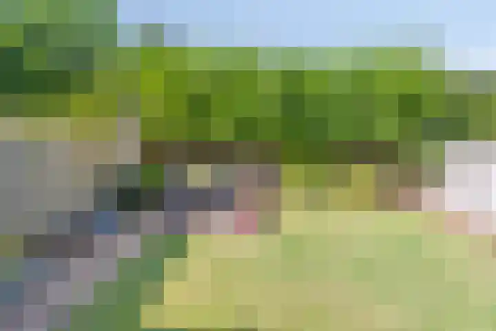 Muzenlaan 37 Beek en Donk thumbnail 32