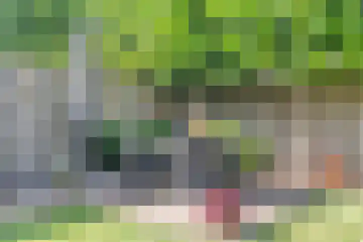 Muzenlaan 37 Beek en Donk thumbnail 34
