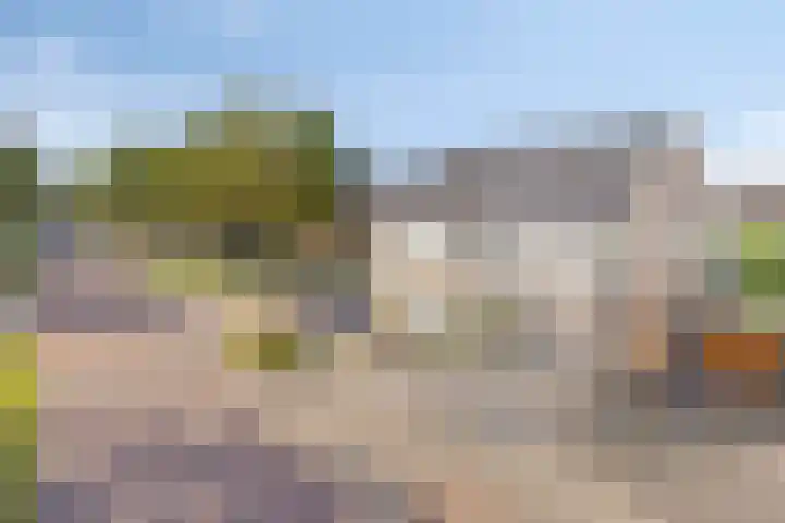 Muzenlaan 37 Beek en Donk thumbnail 40