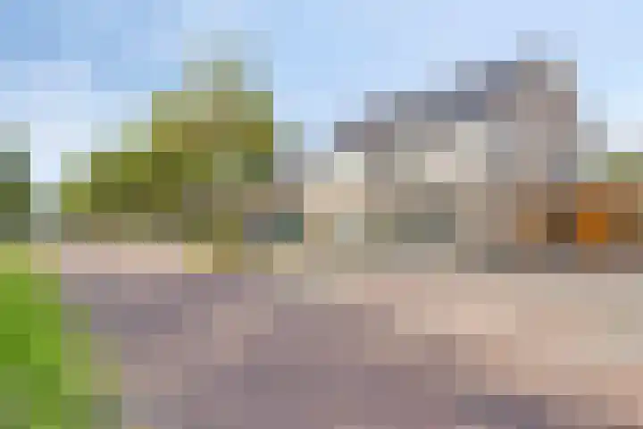 Muzenlaan 37 Beek en Donk thumbnail 9