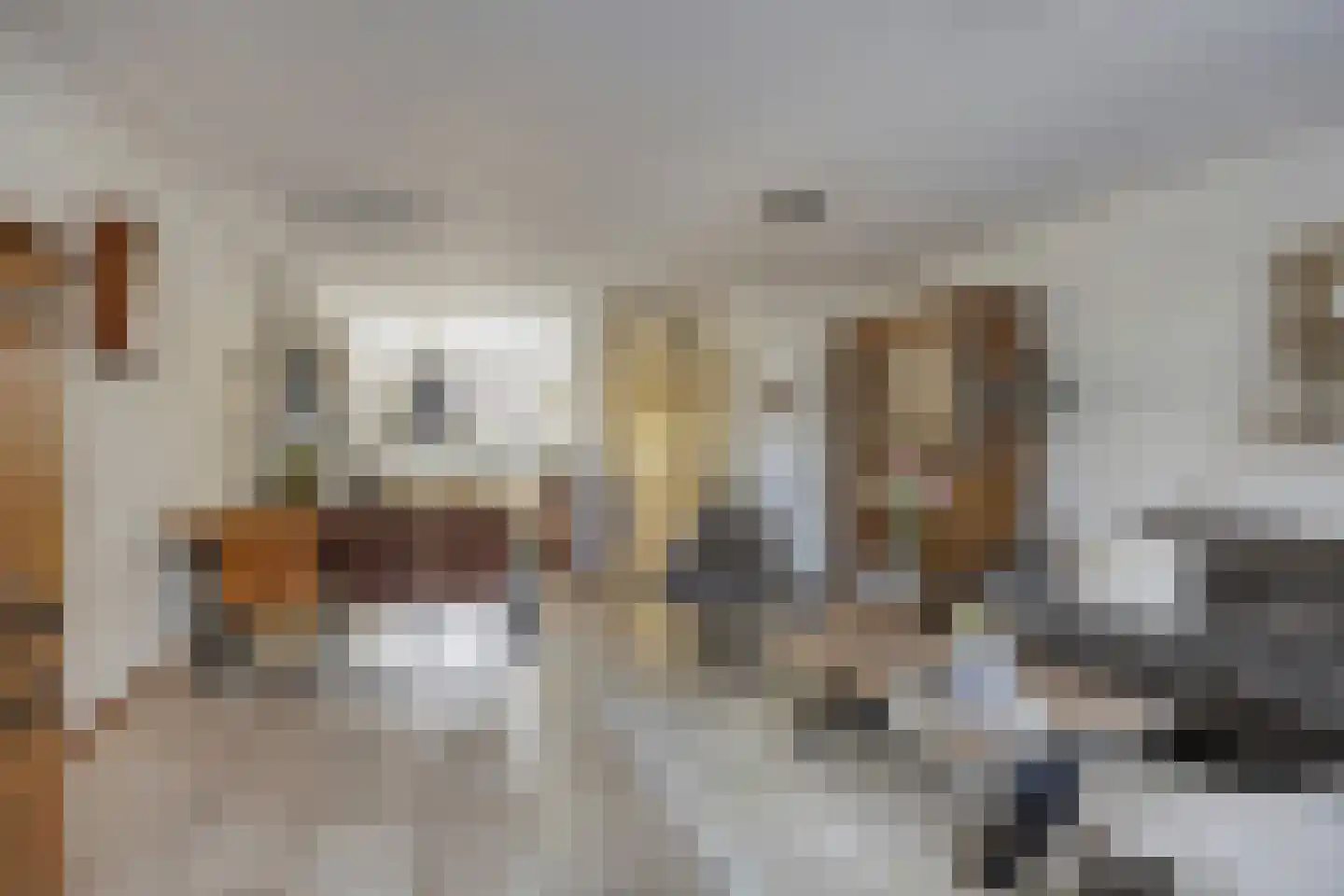 Muzenlaan 51 Leiderdorp thumbnail 10