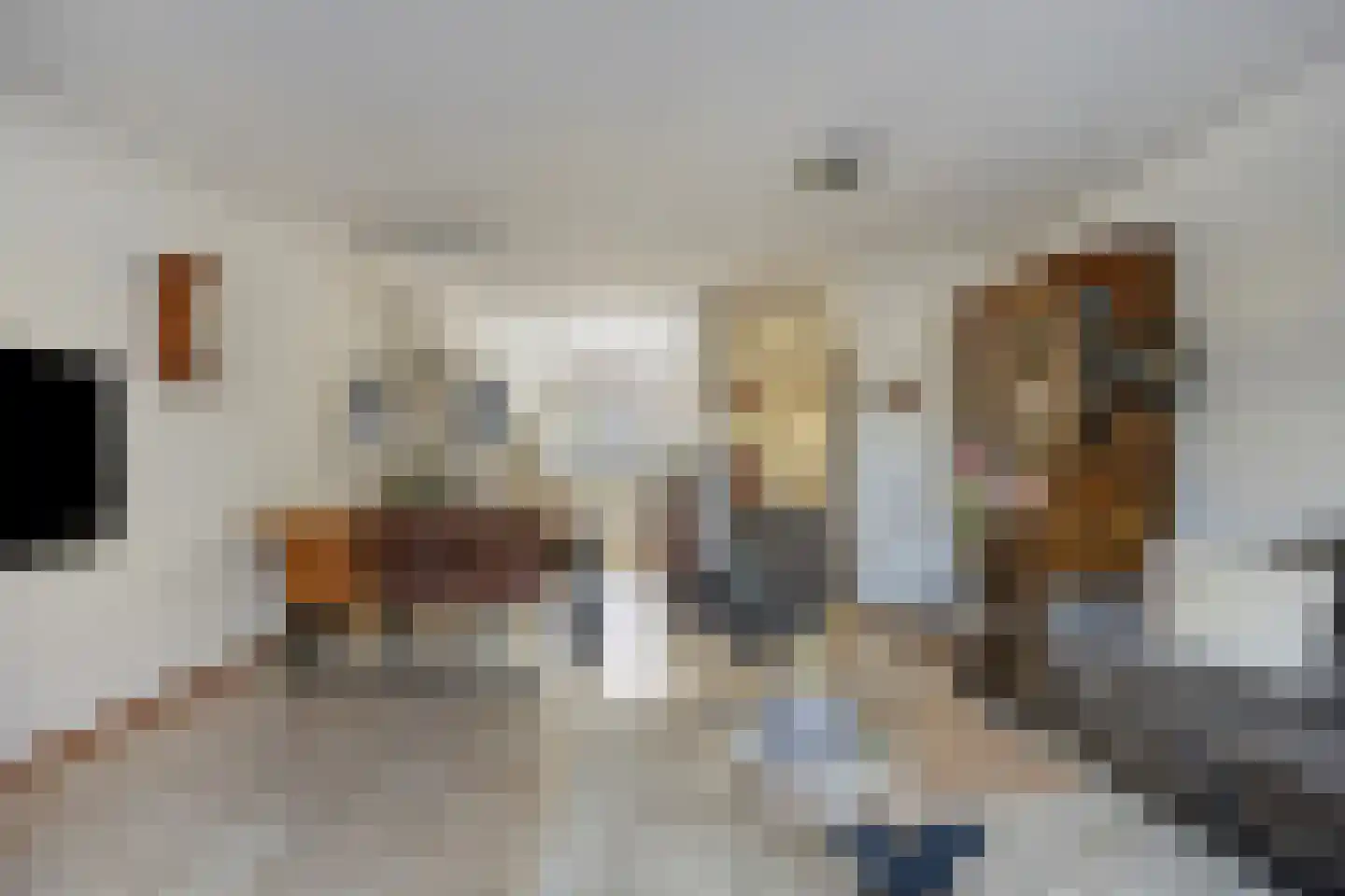 Muzenlaan 51 Leiderdorp thumbnail 11