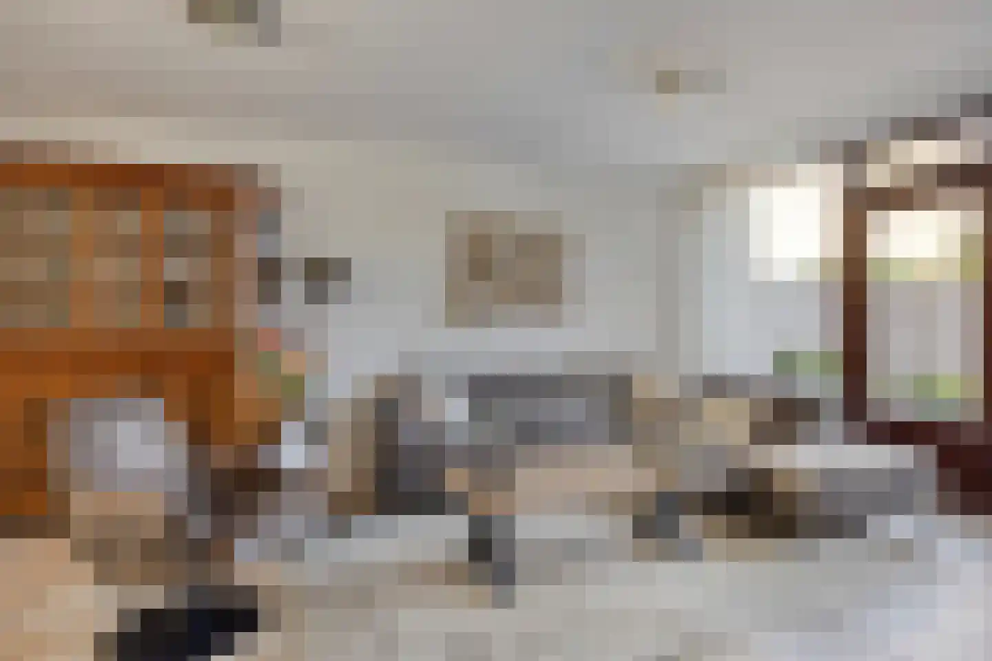 Muzenlaan 51 Leiderdorp thumbnail 12